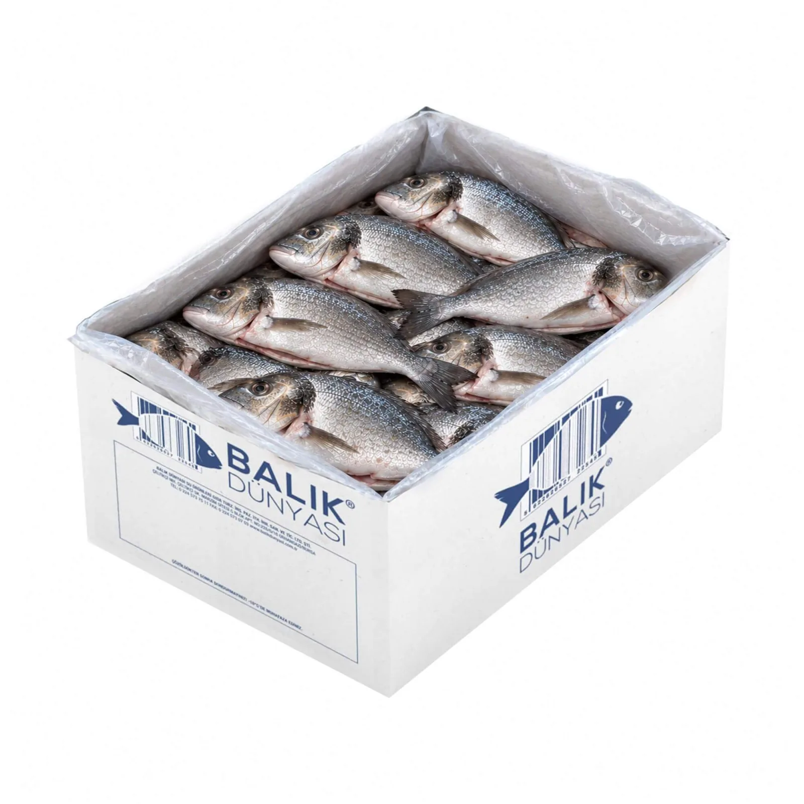 Çipura Vide (Temizlenmiş) 300-400 GR %20 GLZ