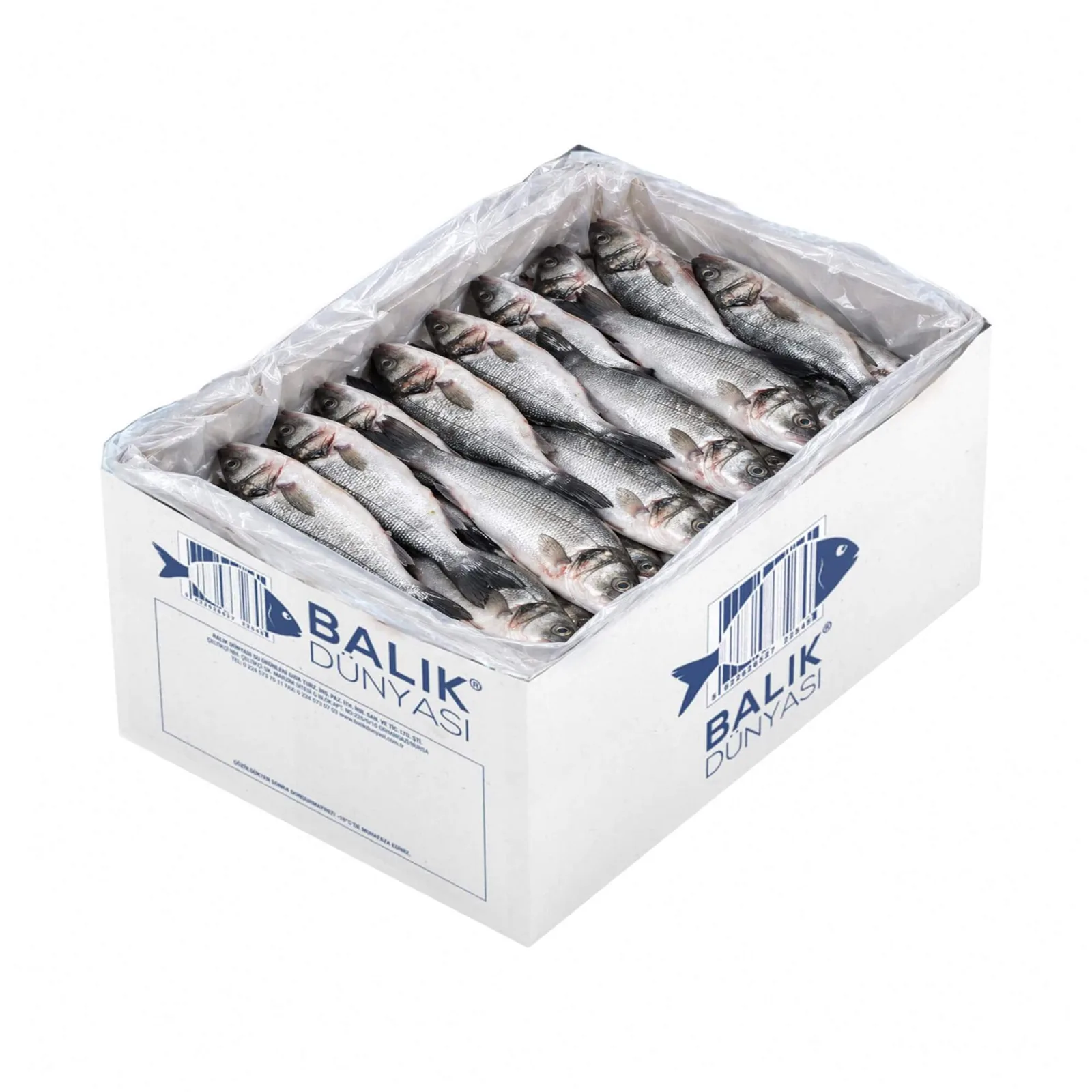 Levrek Vide (Temizlenmiş) 200-300 GR %20 GLZ