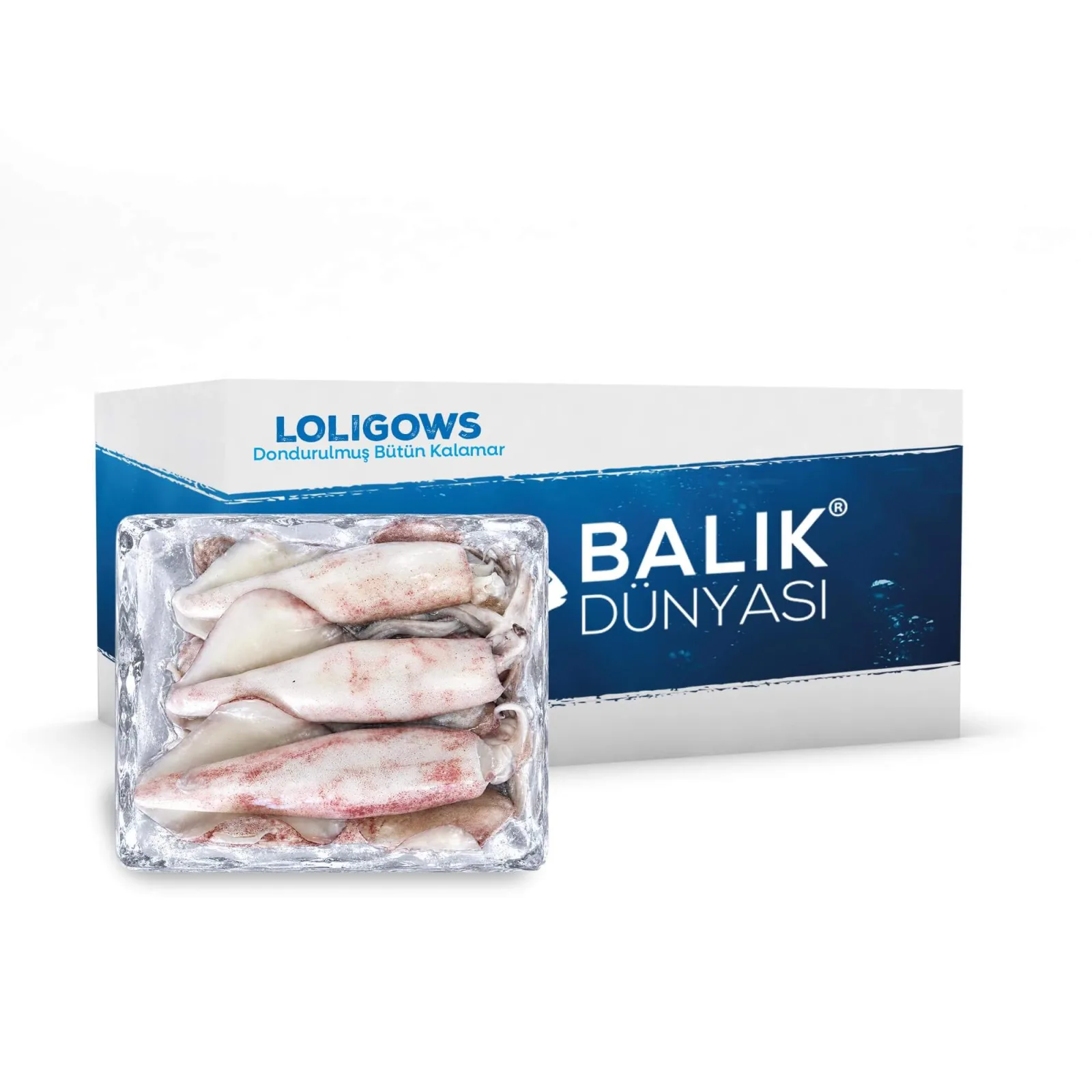 Natural Kirli Kalamar U-3 (Loligo Duvauceli) %10 GLZ