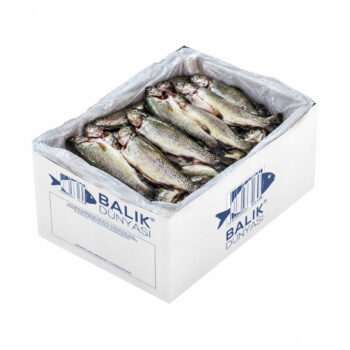 Alabalık Temizlenmiş Donuk – (10 KG)