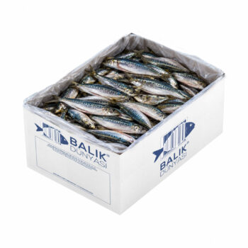 Sardalya Temizlenmiş Donuk – (10 KG)
