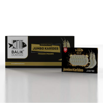 Kabuklu Jumbo Karides (Hoso) 21/25 – (10 KG)