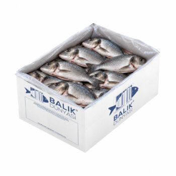 Çipura 300/400 GR Temizlenmiş Donuk – (10 KG)