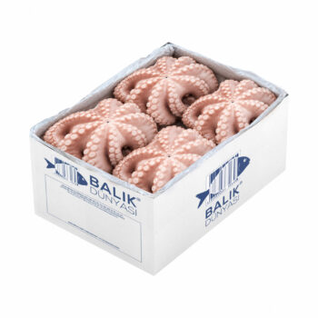 Ahtapot 4000/6000 GR Yerli – (15 KG)